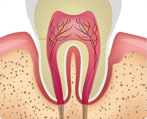 Periodontal Care Overview